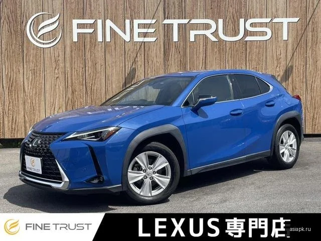 Lexus UX250h