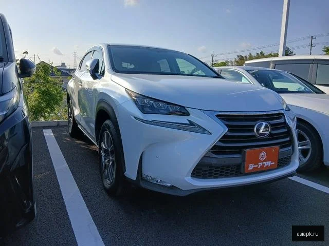 Lexus NX300h