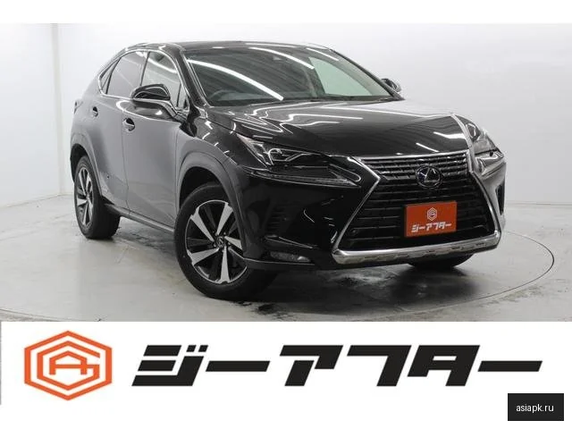 Lexus NX300h
