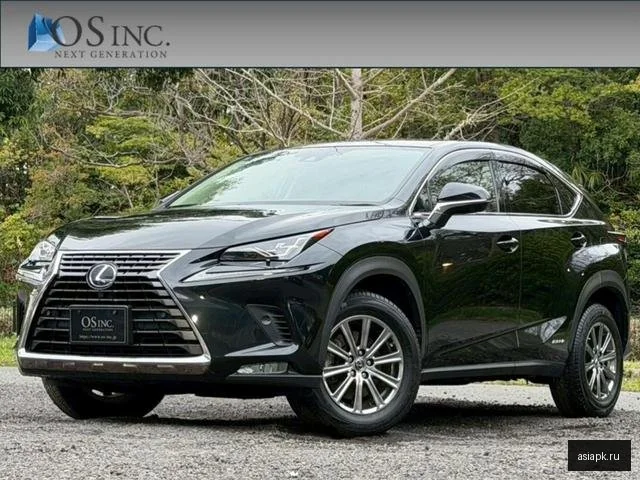 Lexus NX300h