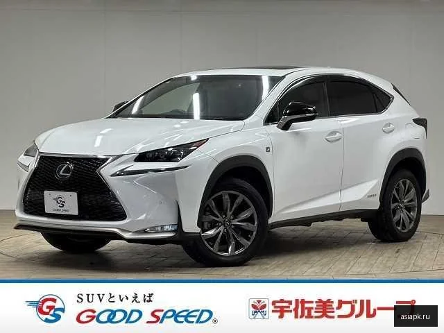 Lexus NX300h
