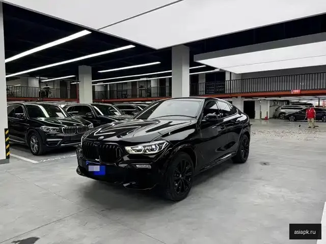 BMW X6