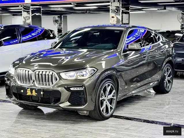 BMW X6