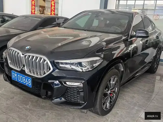 BMW X6