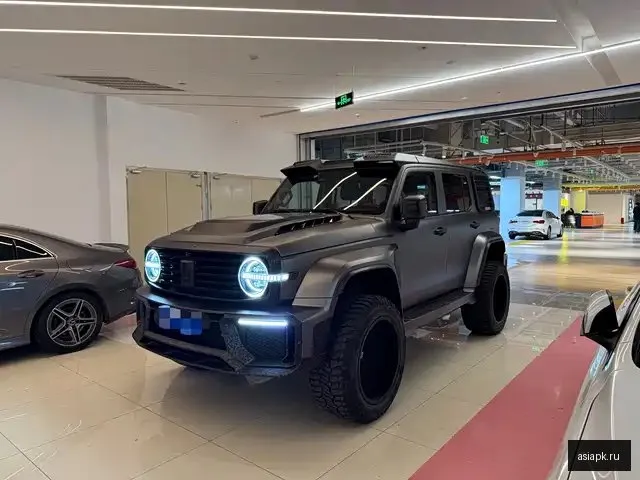 Tank 300