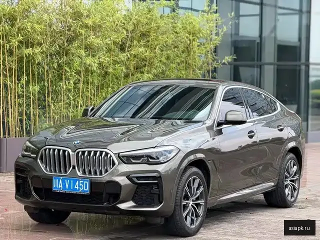 BMW X6