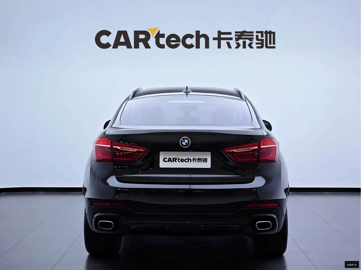 BMW X6 6