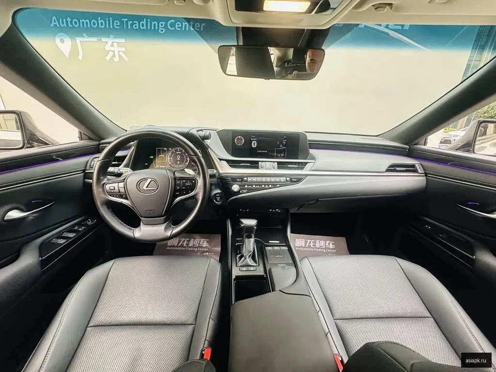 Lexus ES250 6