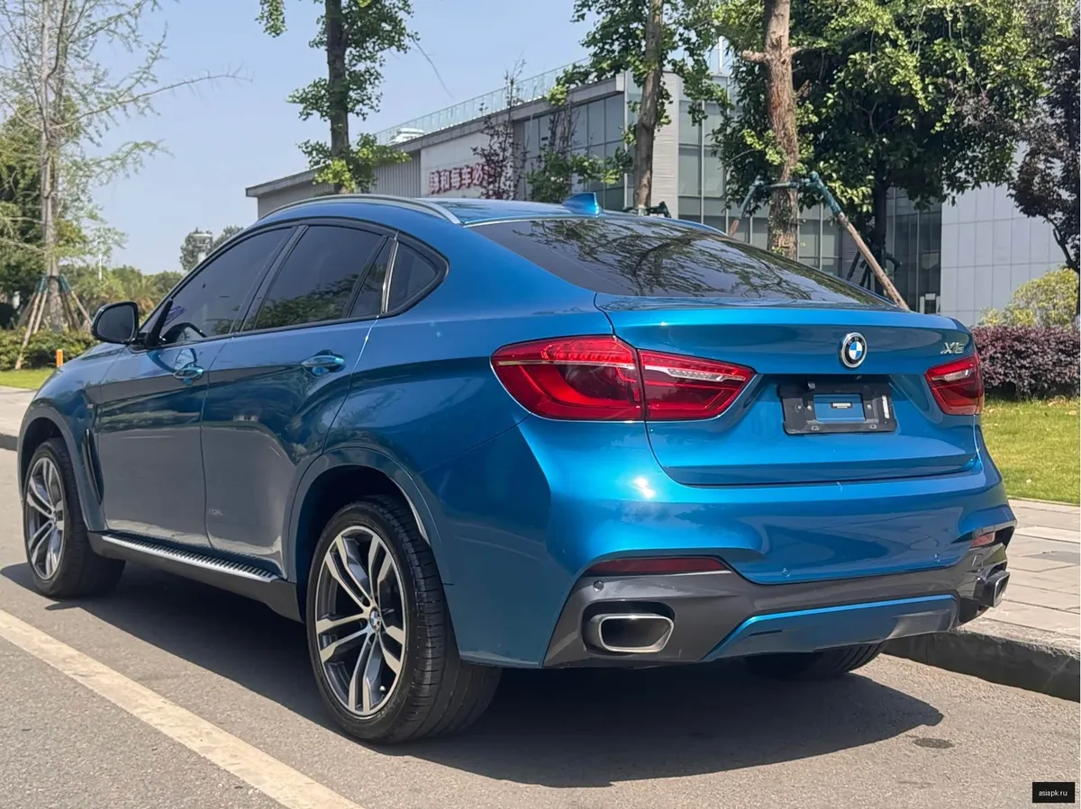 BMW X6 6