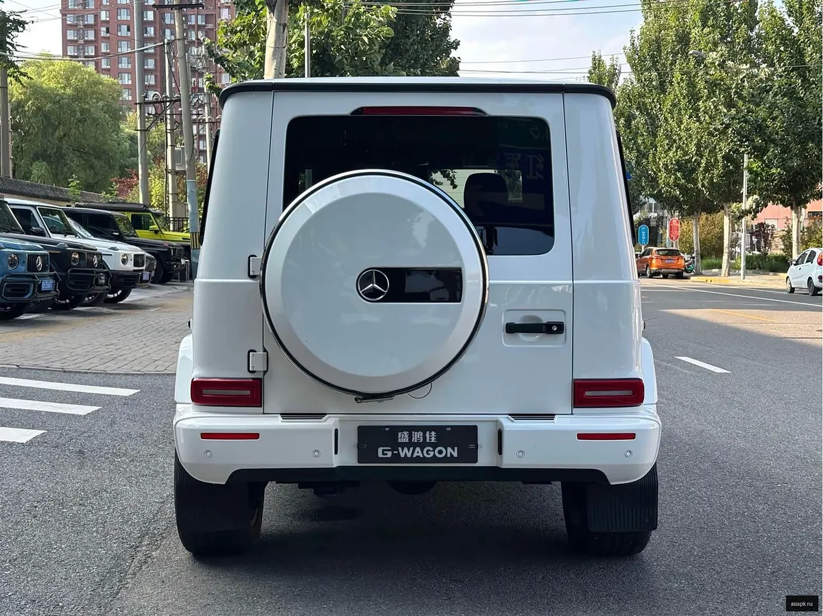 Mercedes-Benz G-Class 6