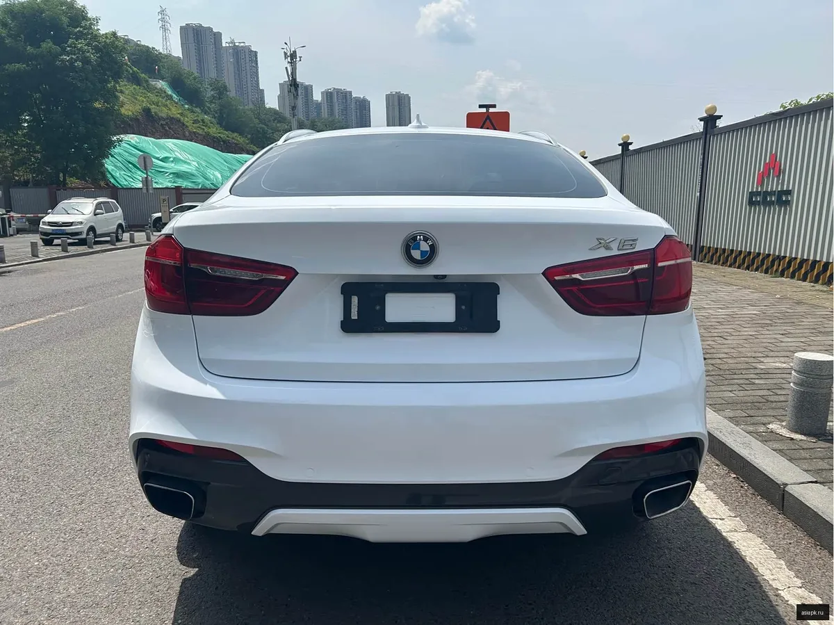 BMW X6 6