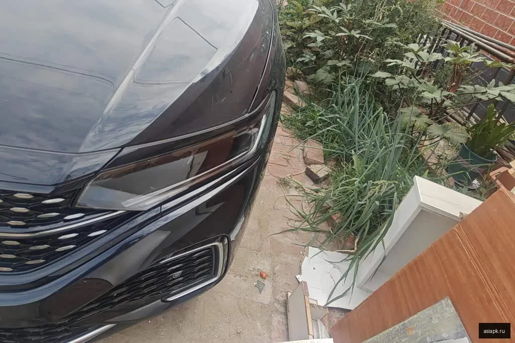 Volkswagen Passat 5