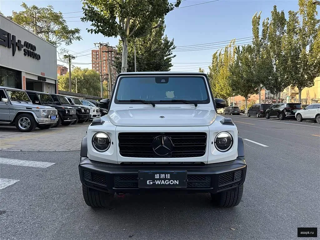 Mercedes-Benz G-Class 6