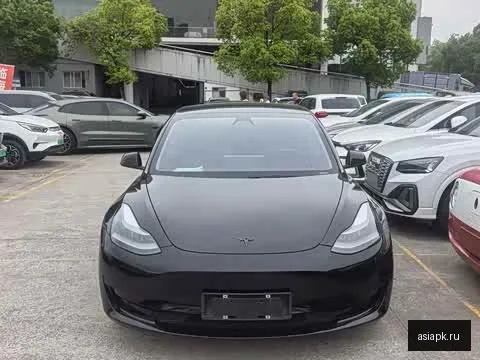 tesla Model Y 6