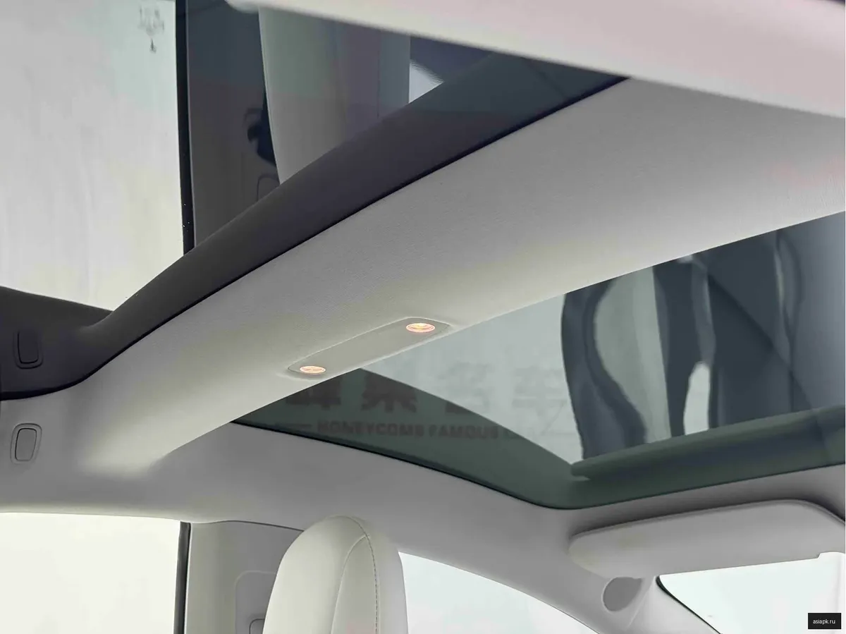 tesla Model Y 6