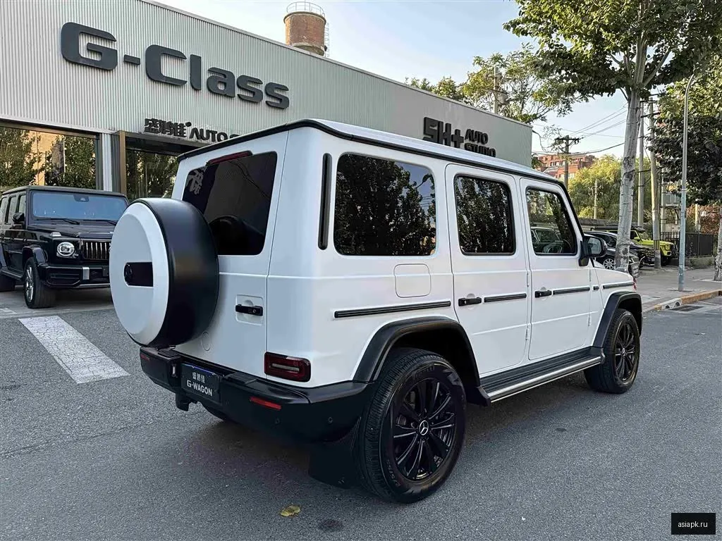 Mercedes-Benz G-Class 3