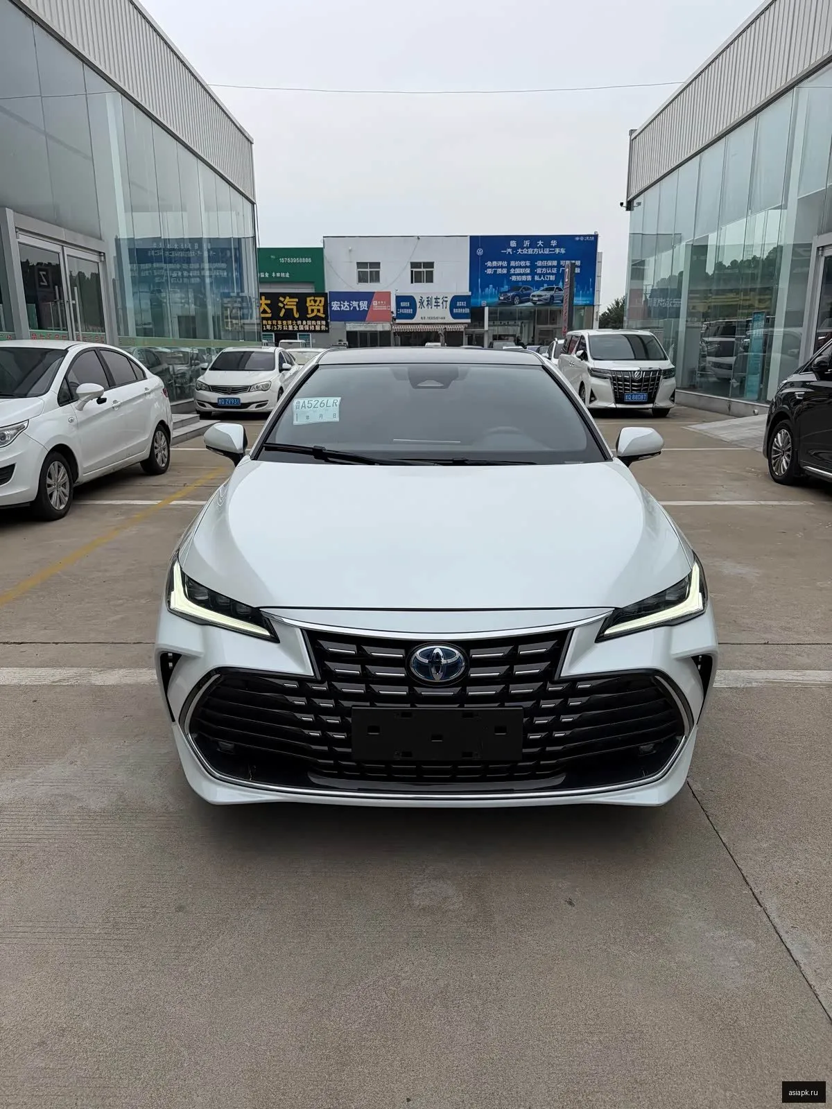 Toyota Avalon