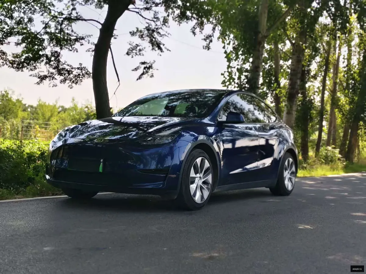 tesla Model Y