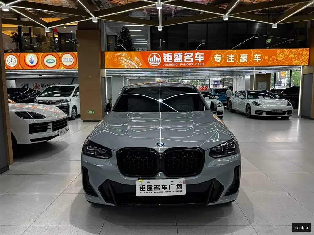 BMW X4 6