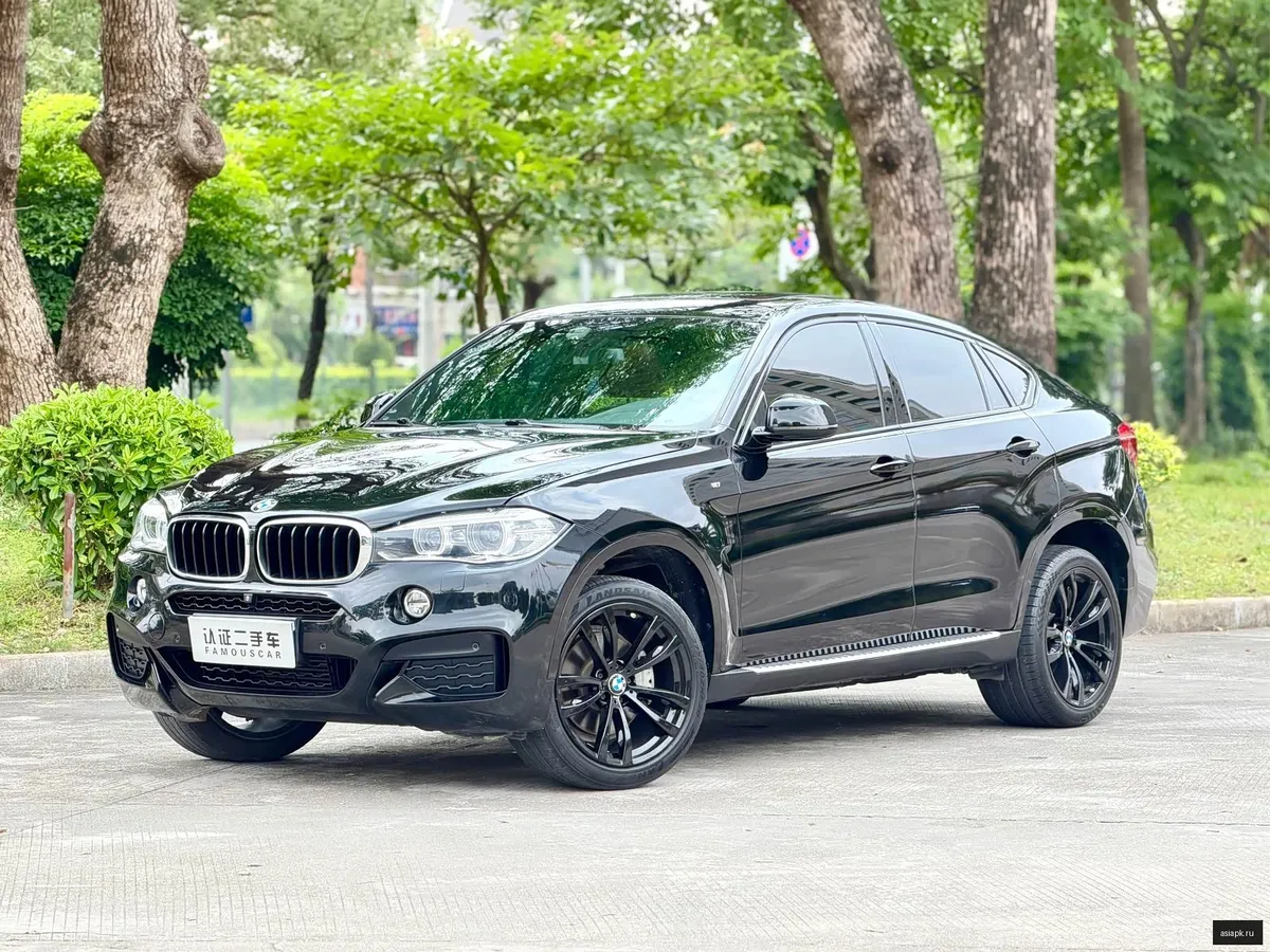 BMW X6