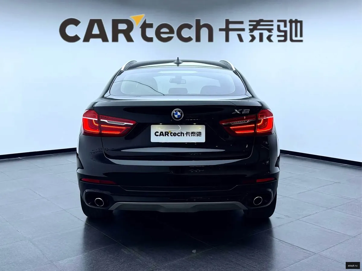 BMW X6 6
