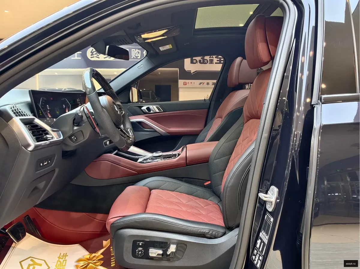 BMW X6 6