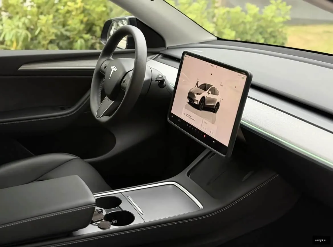 tesla Model Y 5
