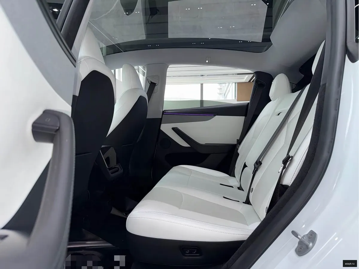 tesla Model Y 5