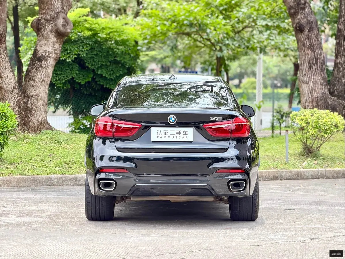 BMW X6 6