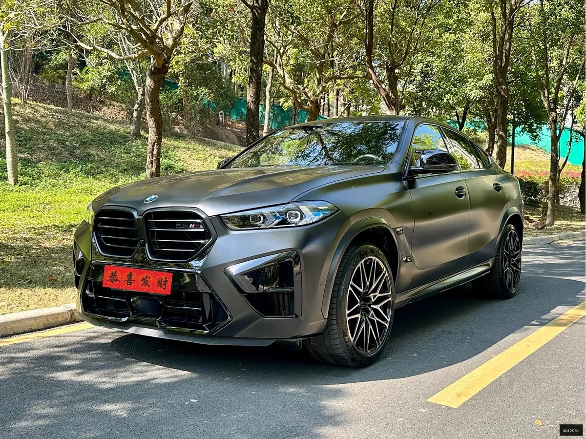 BMW X6