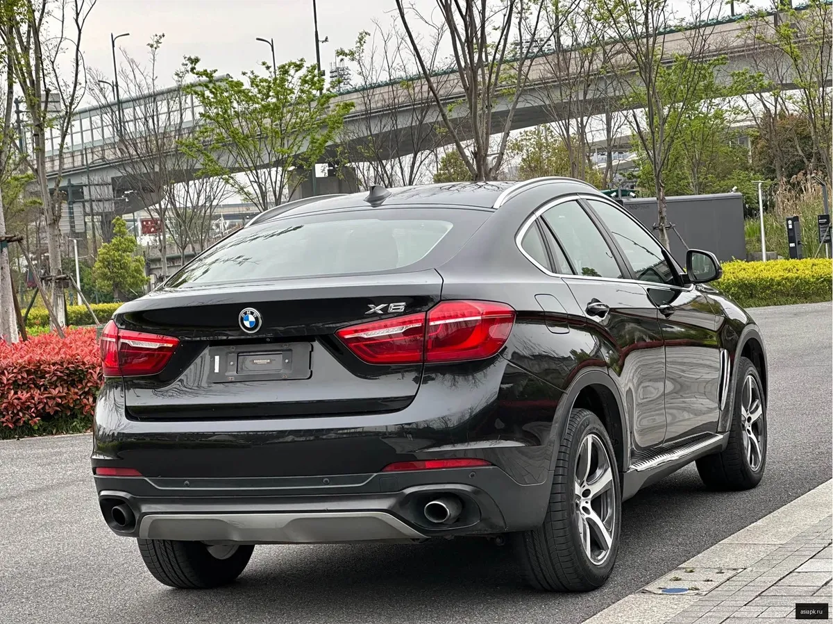 BMW X6 6