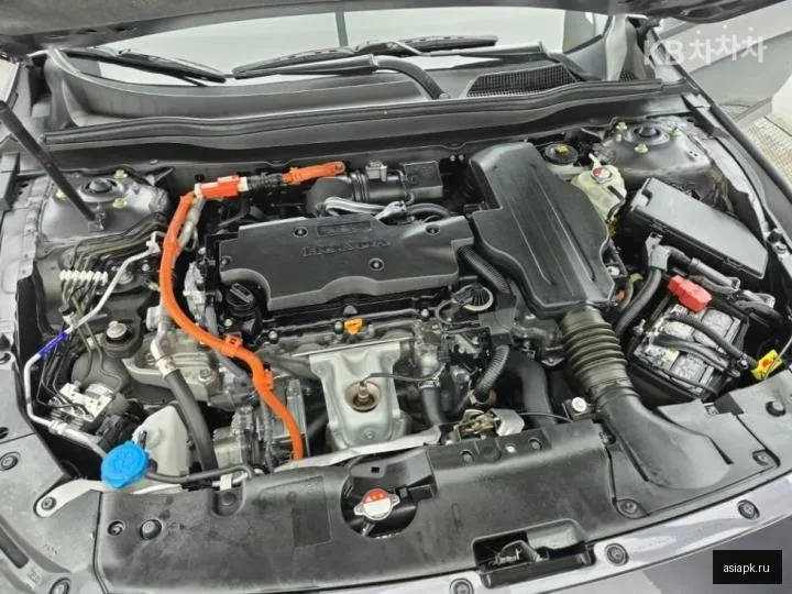 Honda Accord 6