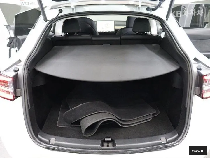 tesla Model Y 6