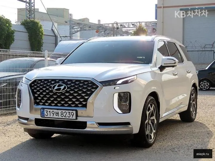 Hyundai Palisade 2