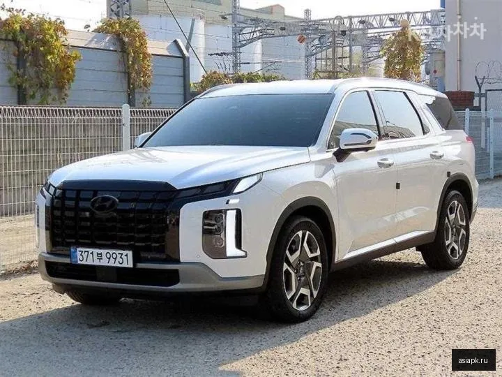 Hyundai Palisade 2