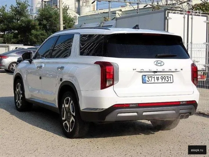 Hyundai Palisade 3