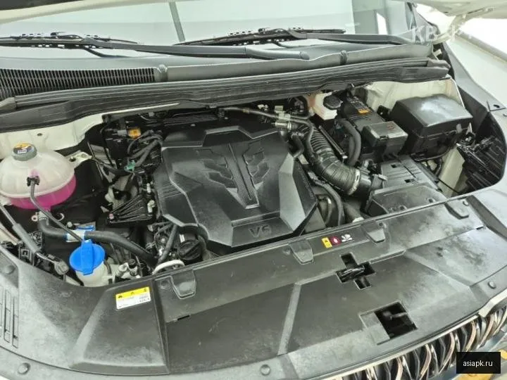 Kia Carnival 6