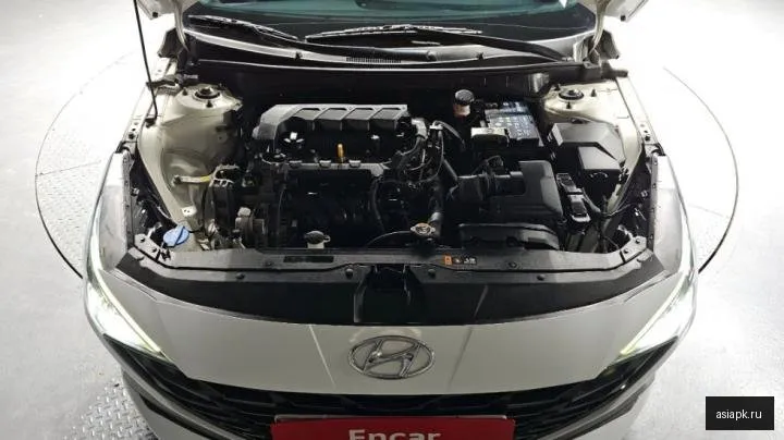 Hyundai Avante 6