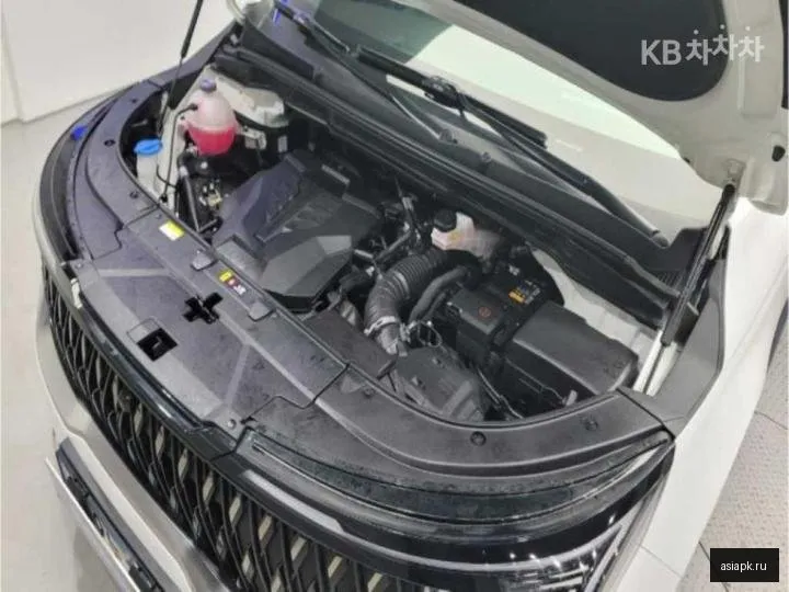 Kia Carnival 6