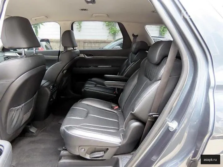 Hyundai Palisade 6