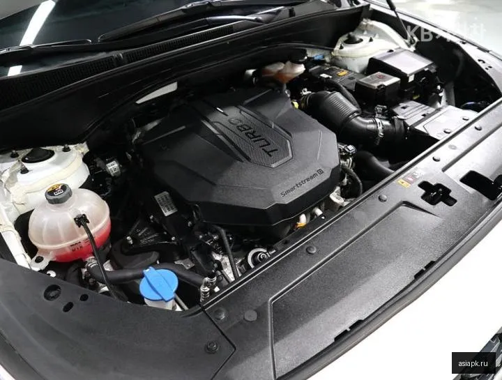 Hyundai Santa Fe 6