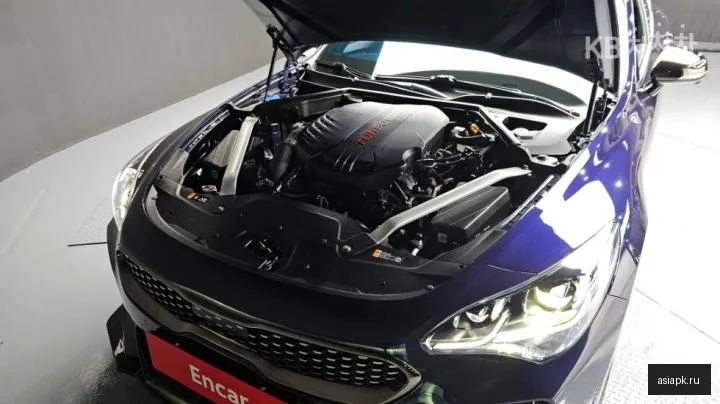 Kia Stinger 6