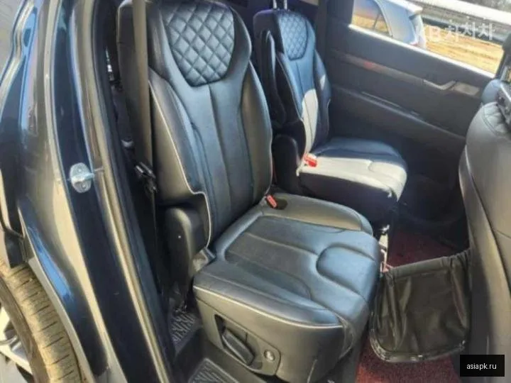 Hyundai Palisade 6