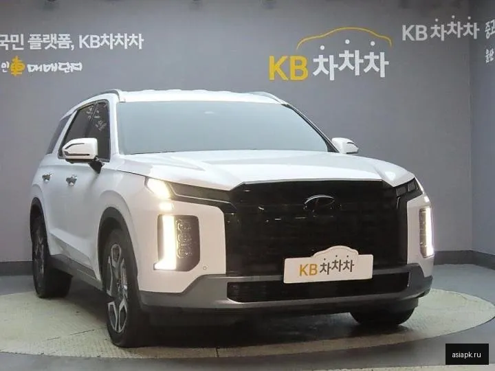 Hyundai Palisade 3
