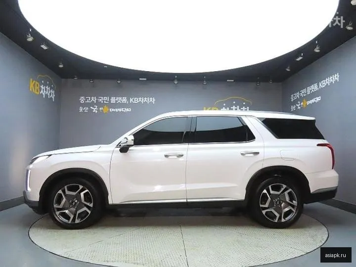 Hyundai Palisade 5