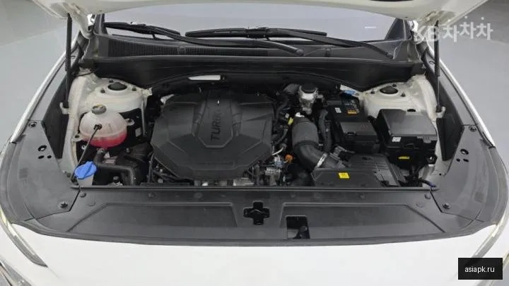 Hyundai Santa Fe 5