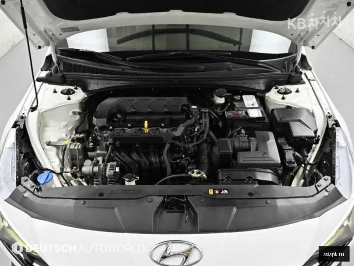 Hyundai Avante 6