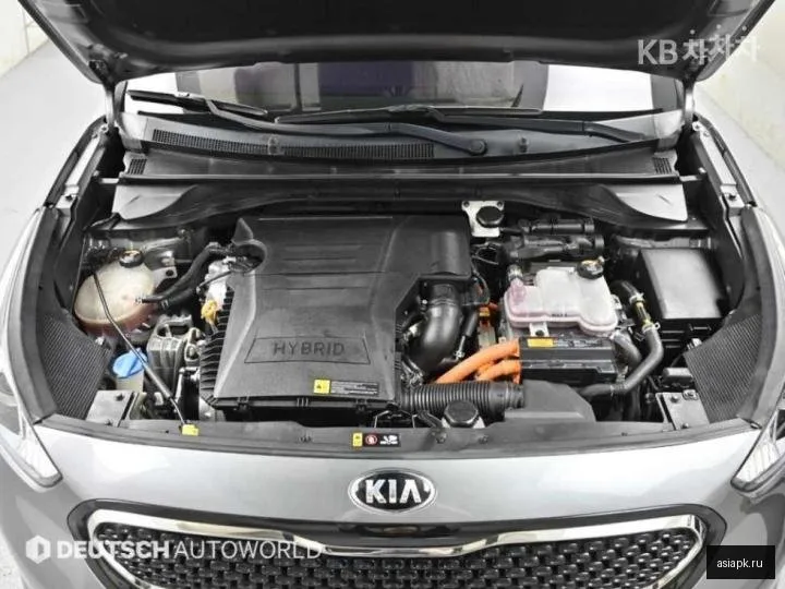 Kia Niro 6