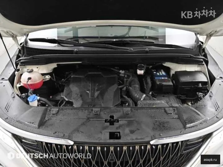 Kia Carnival 6