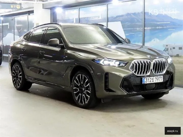 BMW X6